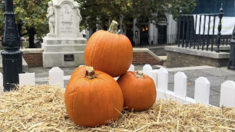 Here are our picks for pumpkin picking this Halloween in Warwickshire (image via Nadia Sayed)