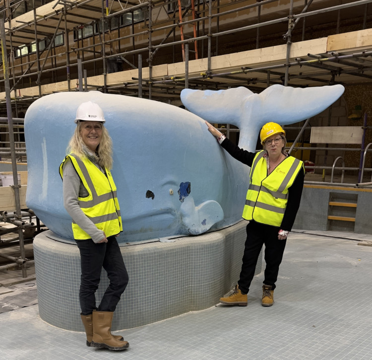 The MP's visit included a stop to check up on the beloved Northgate Arena whale (Image via: Samantha Dixon)