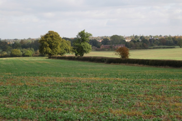 The houses are proposed for the land around Sandy Lane, Blackdown (image via Robin Stott)