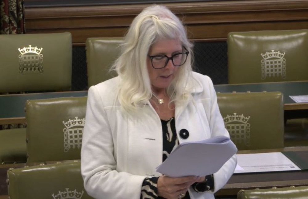 MP Dr Allison Gardner has sought clarification over reported PCSO changes (image via parliamentlive.tv) MP Dr Allison Gardner has sought clarification over reported PCSO changes (image via parliamentlive.tv)