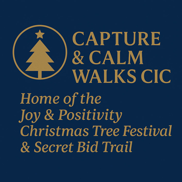 Joy & Positivity Christmas Tree Festival 