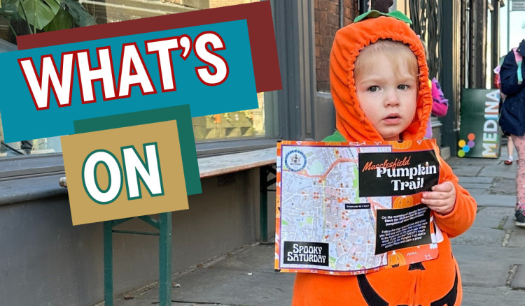 The Halloween fun gets started this weekend (Credit: MTC)