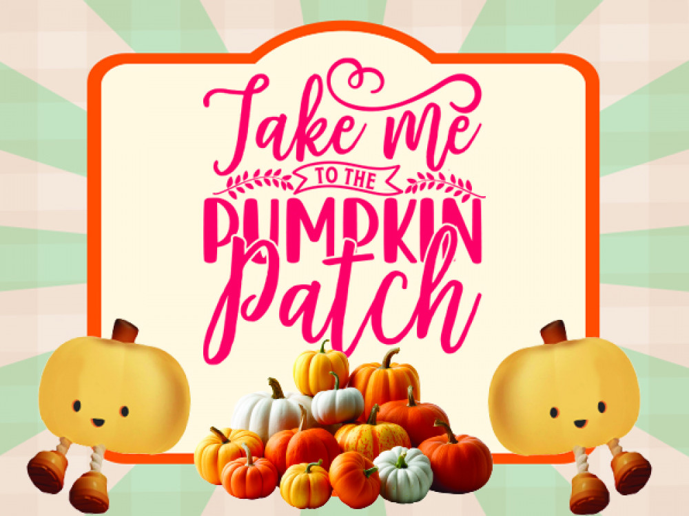 Pumpkin Patch