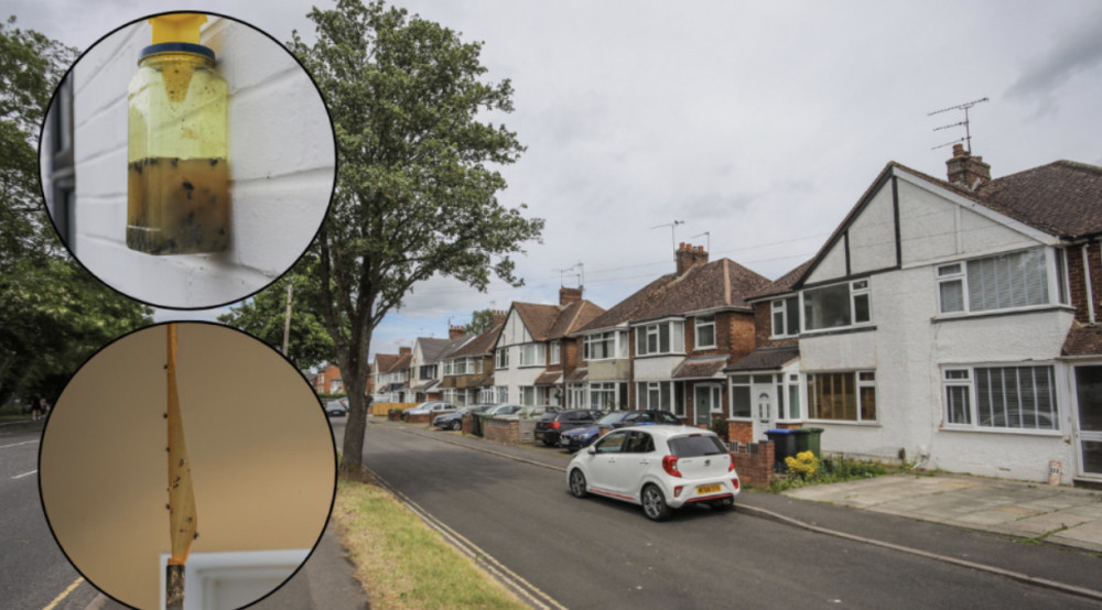 The issue of flies around south Warwick and Leamington Spa has persisted over the past few years (images via SWNS)