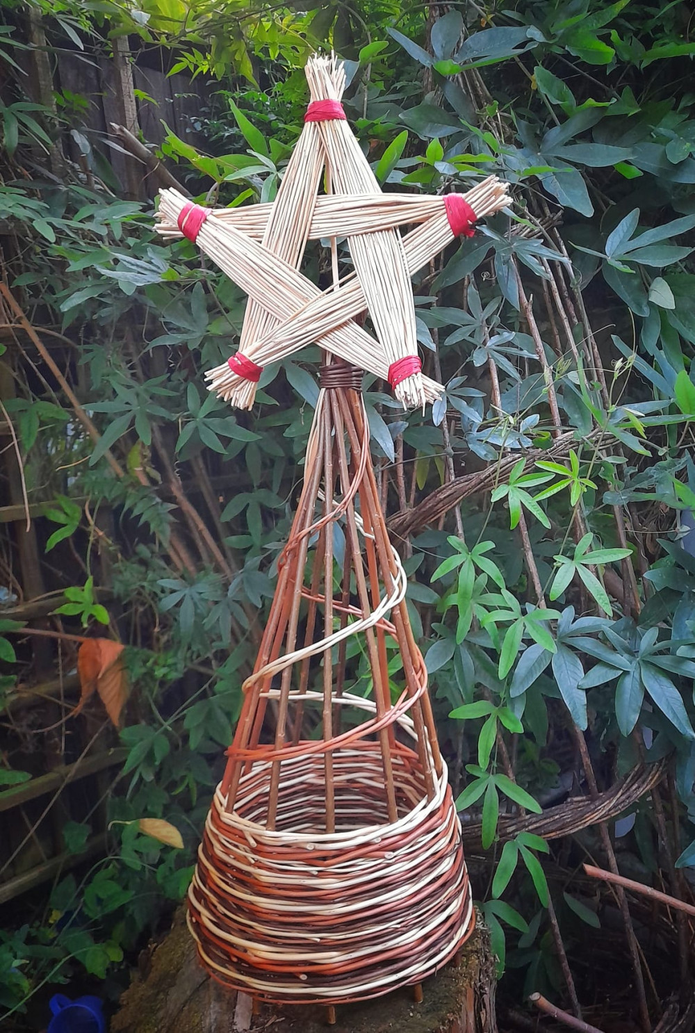 Willow Christmas Tree