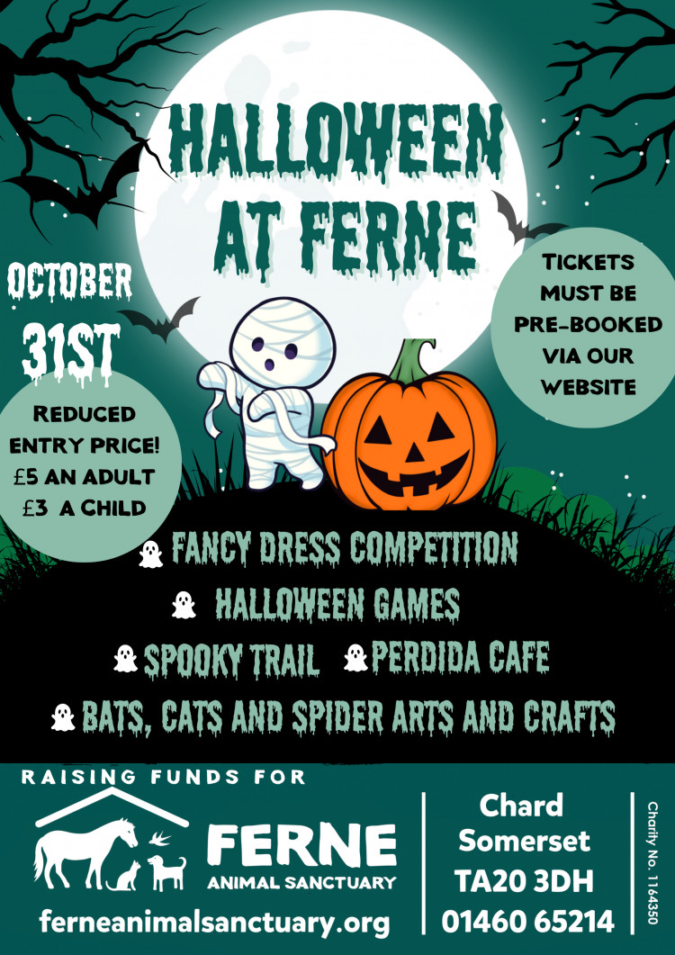 Spooktacular fun awaits at Ferne Animal Sanctuary this Halloween Spooktacular fun awaits at Ferne Animal Sanctuary this Halloween