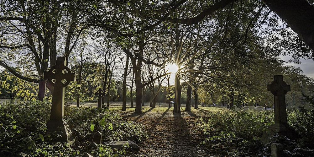 Remembrance Day Old Cemetery Clean Up Remembrance Day Old Cemetery Clean Up
