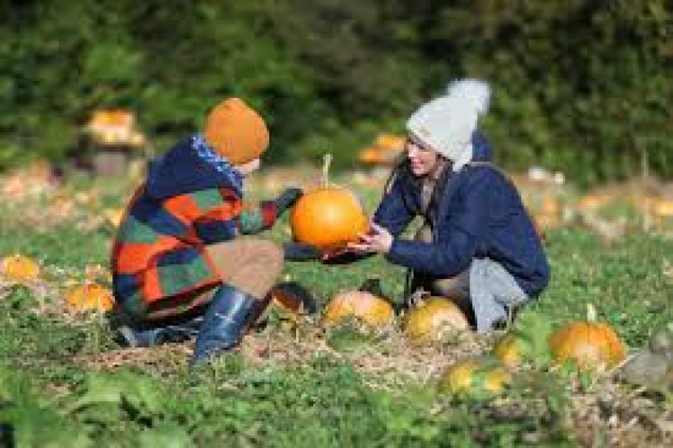 Wells Festival of Literature highlights diverse events from pumpkin carving to leopard-print bingo