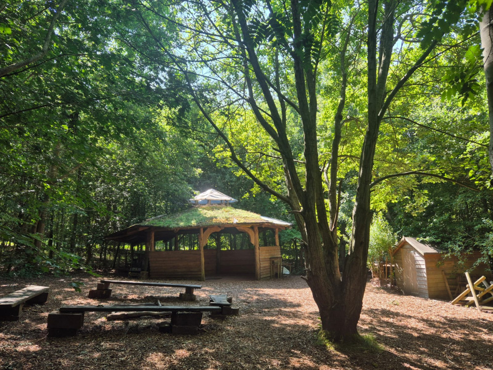 FREE Woodland Wellbeing Course FREE Woodland Wellbeing Course