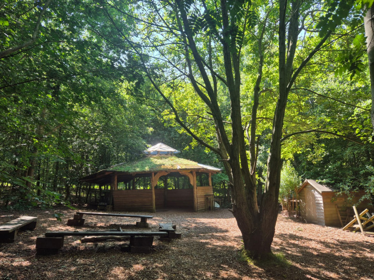 FREE Woodland Wellbeing Course