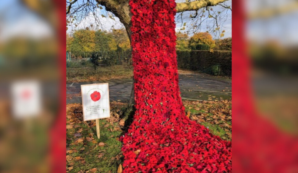 The 'poppy cascade' outside Marlborough Primary School (Credit: Elaine Darcey) The 'poppy cascade' outside Marlborough Primary School (Credit: Elaine Darcey)