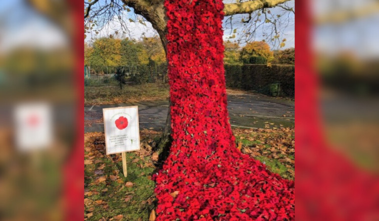 The 'poppy cascade' outside Marlborough Primary School (Credit: Elaine Darcey) The 'poppy cascade' outside Marlborough Primary School (Credit: Elaine Darcey)