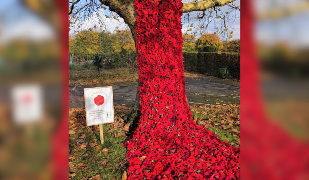 The 'poppy cascade' outside Marlborough Primary School (Credit: Elaine Darcey)