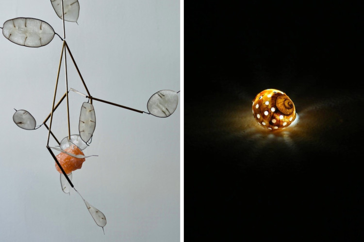 'Remember Nature' will be on display in Chester next month (Image supplied)