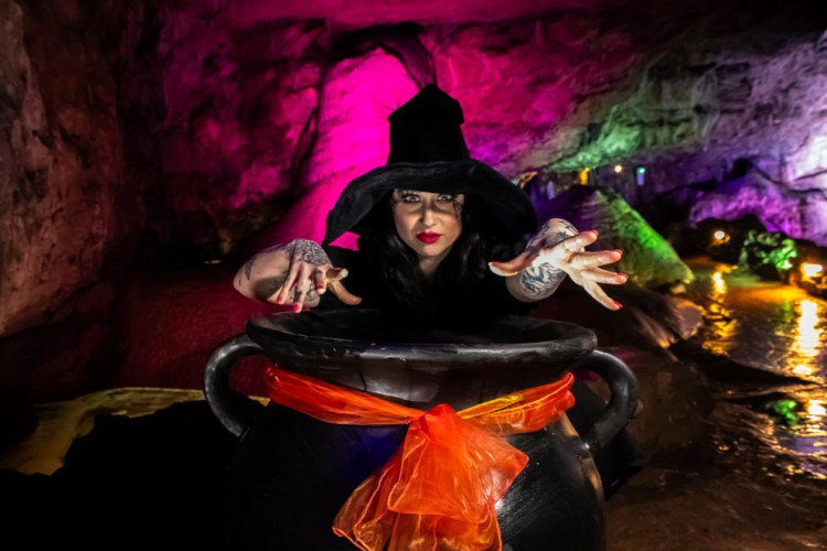 Diverse events from pumpkin carving to leopard-print bingo in Wells this week.