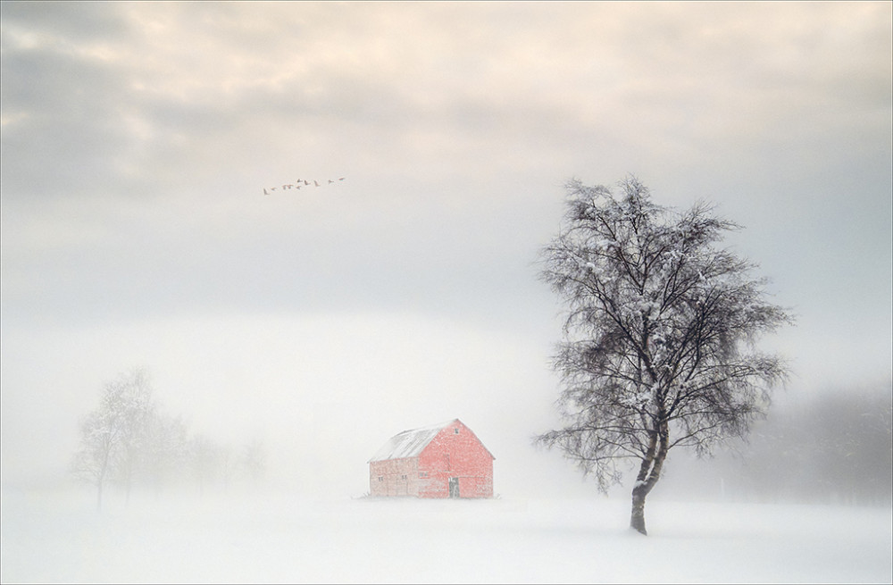 Red Barn (credit: Richmond and Twickenham Photographic Society).