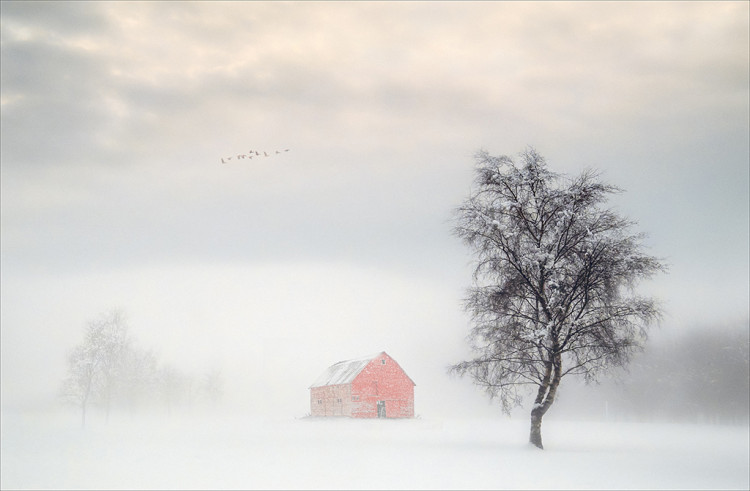 Red Barn (credit: Richmond and Twickenham Photographic Society).