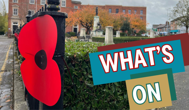 Remembrance Sunday is this weekend (Credit: Nub News)