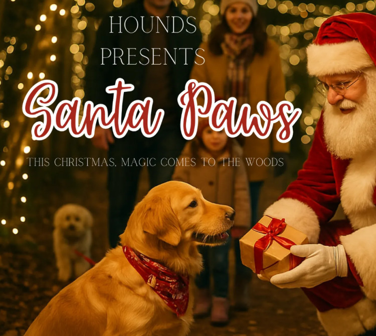 Santa Paws - Christmas Experience