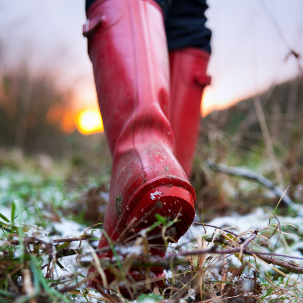 Guided Grief Walk - A Reflective Journey in Nature