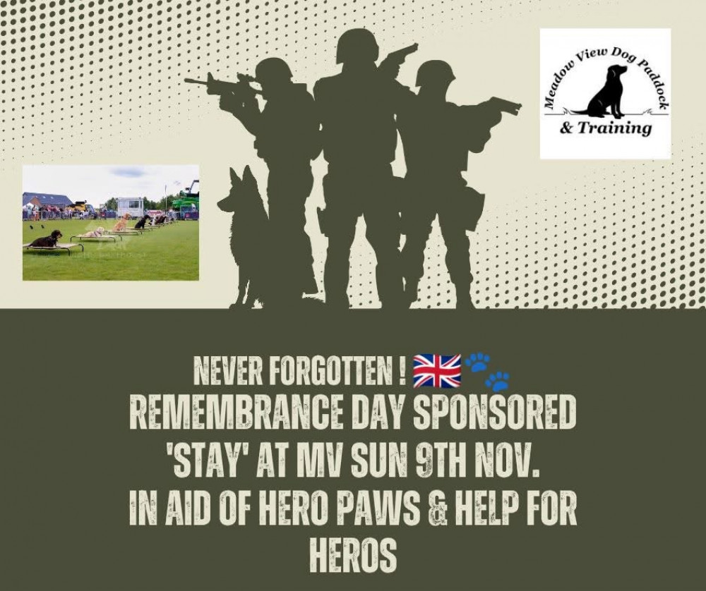 Remembering Heroes at Meadow View