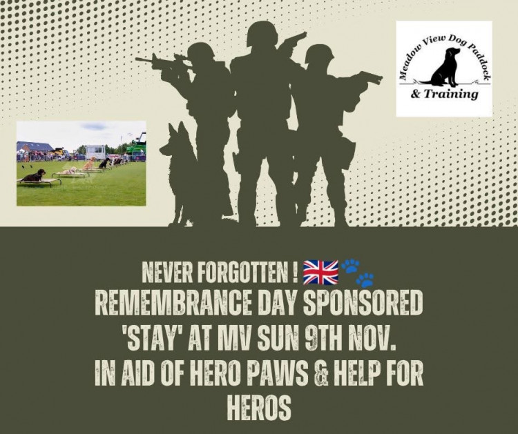 Remembering Heroes at Meadow View