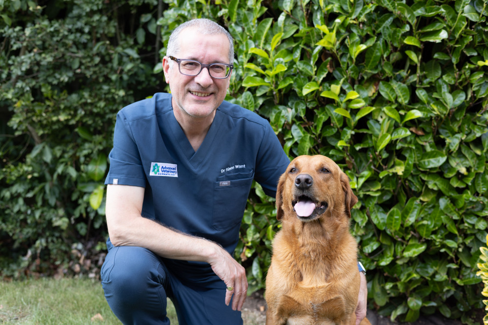 Advanced Veterinary Dermatology