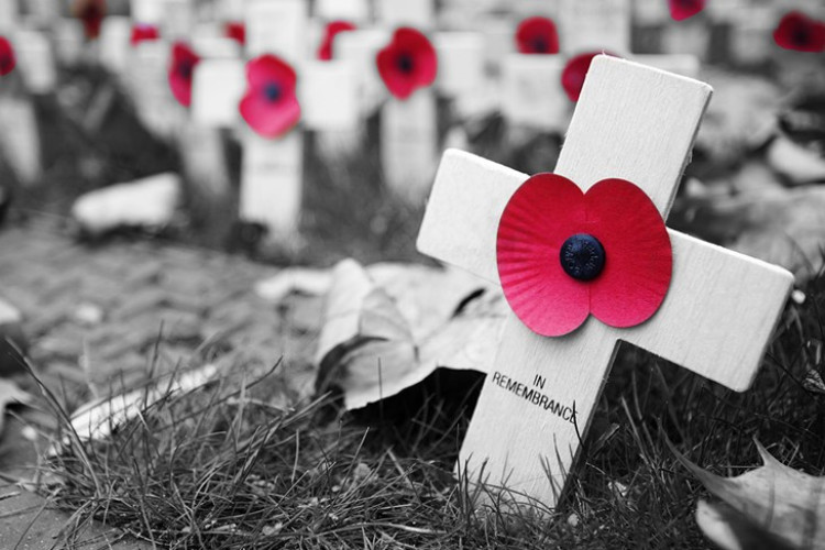 Wells plans Remembrance events with poppy stalls, services, and a parade. 