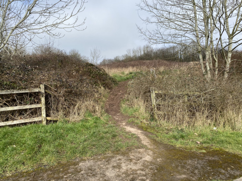 The land next to Cherry Orchard will be made a formal green space (image by Nub News)