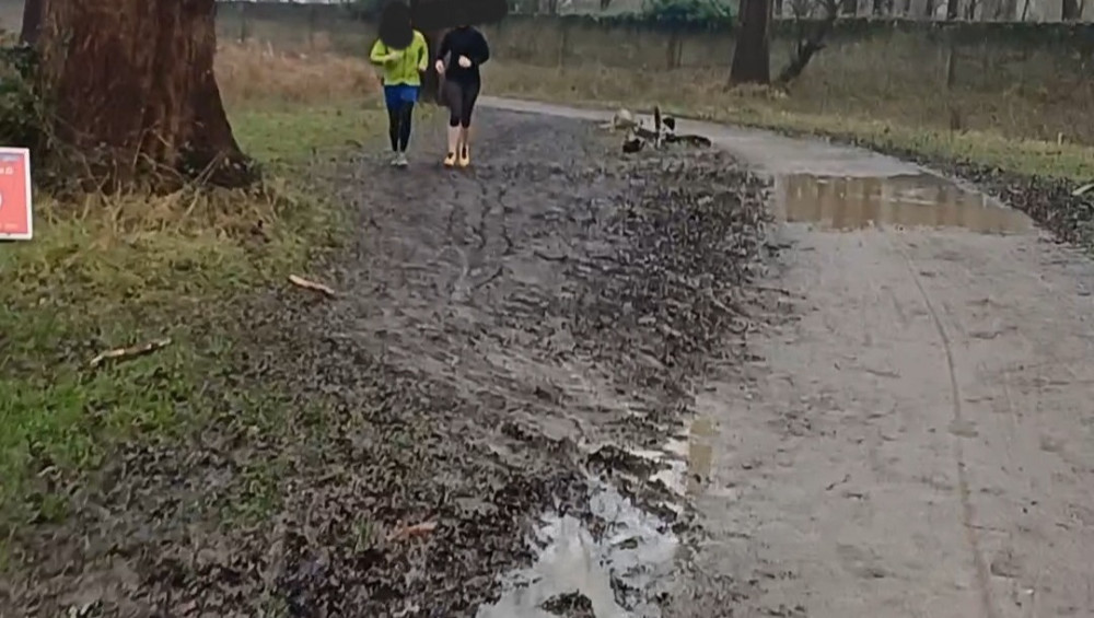 The resident believes the plan fails to properly consider the impact of future development on Richmond Park (credit: Caroline Shah).