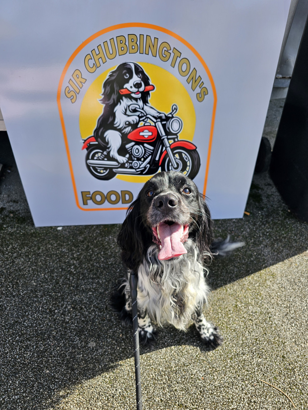 Sir Chubbington's Food Shack