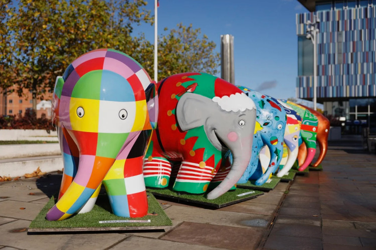 Elmer the Patchwork Elephant is coming to Macclesfield (Credit: David Oates Photography)