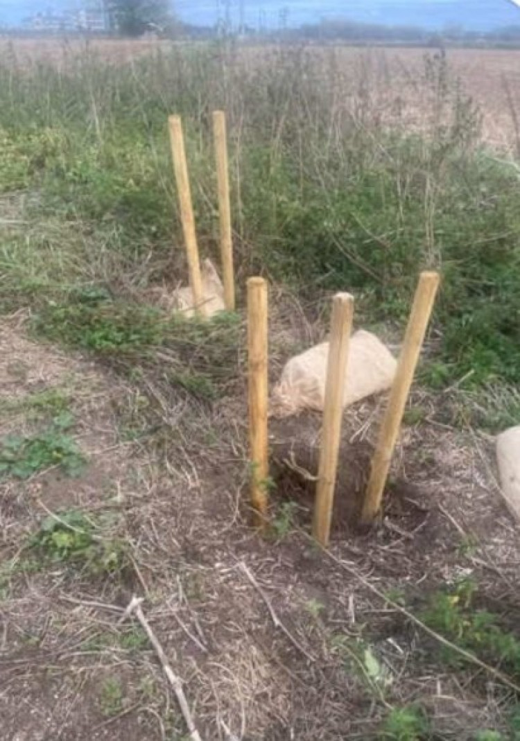 The sandbagged badger setts.