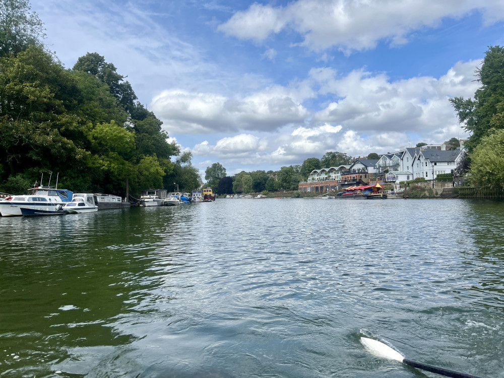 A nationwide survey by Earthwatch UK has found that 81% of water samples from the Thames basin, including rivers through Richmond and Twickenham (credit: Cesar Medina).
