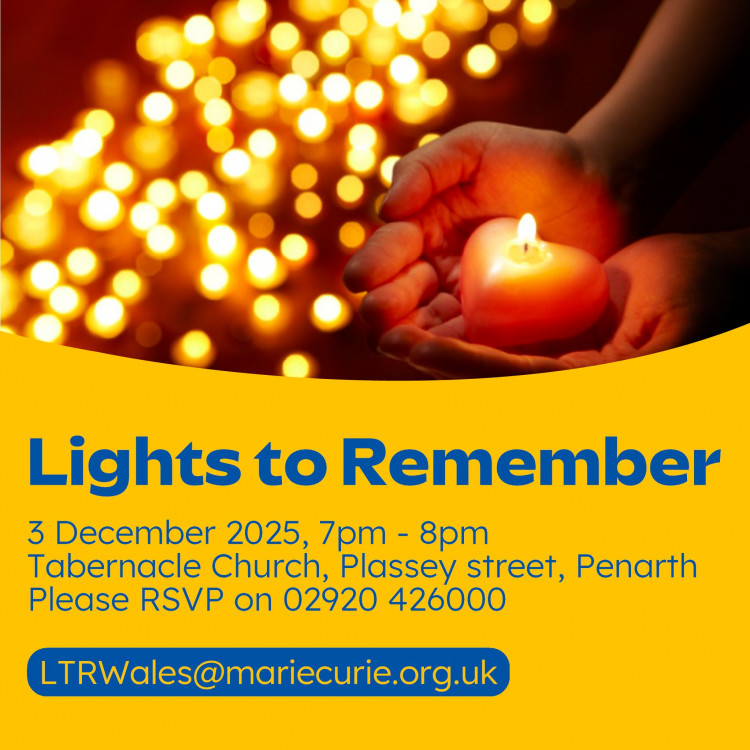 Marie Curie Lights to Remember