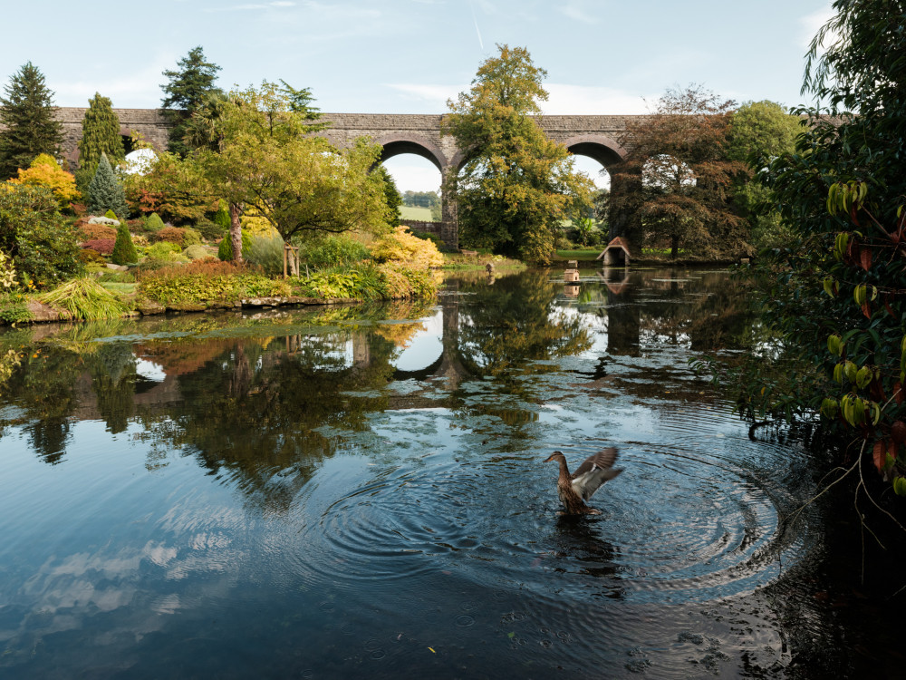 Kilver Court & Gardens © Dave Watts, courtesy of Kilver Court