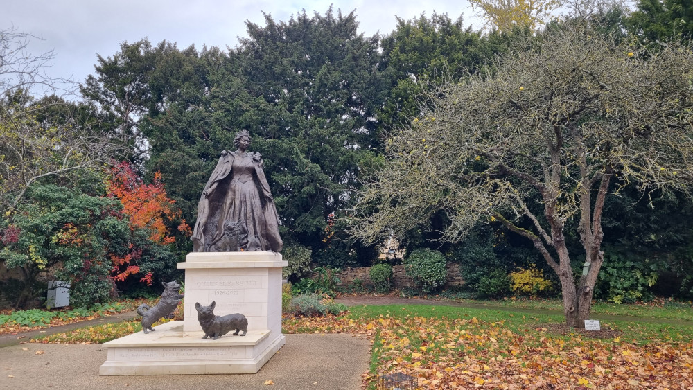 There's lots of autumnal events, including a winter tree identification walk with Anglian Water (Photo: Grace Kennington)
