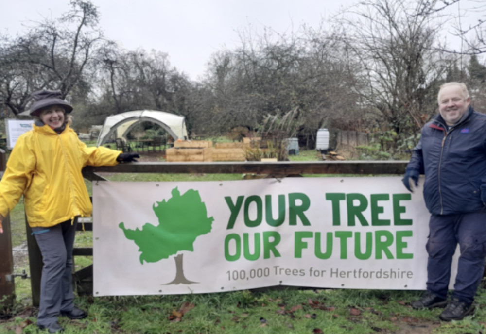 Hertfordshire surpasses ambitious tree planting pledge ahead of winter season