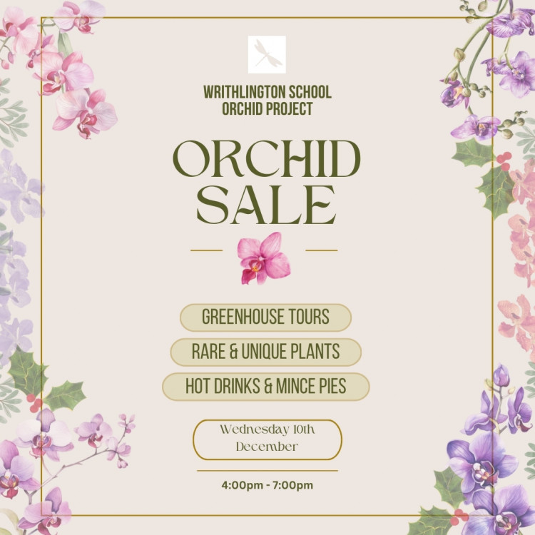 Writhlington School Orchid Project Christmas Sale