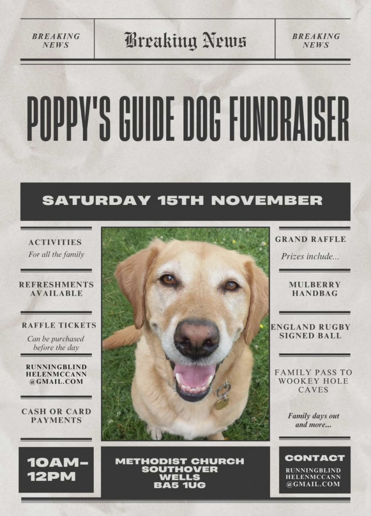 Guide dogs fund raiser