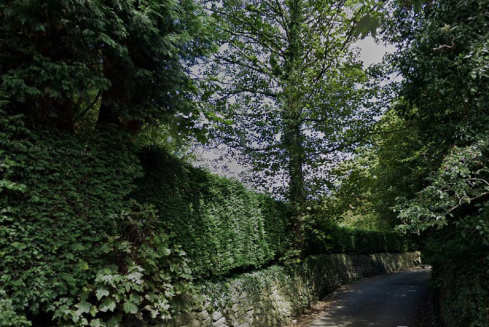 The application would see houses built in the land off Spout Lane (image via Google Street View)