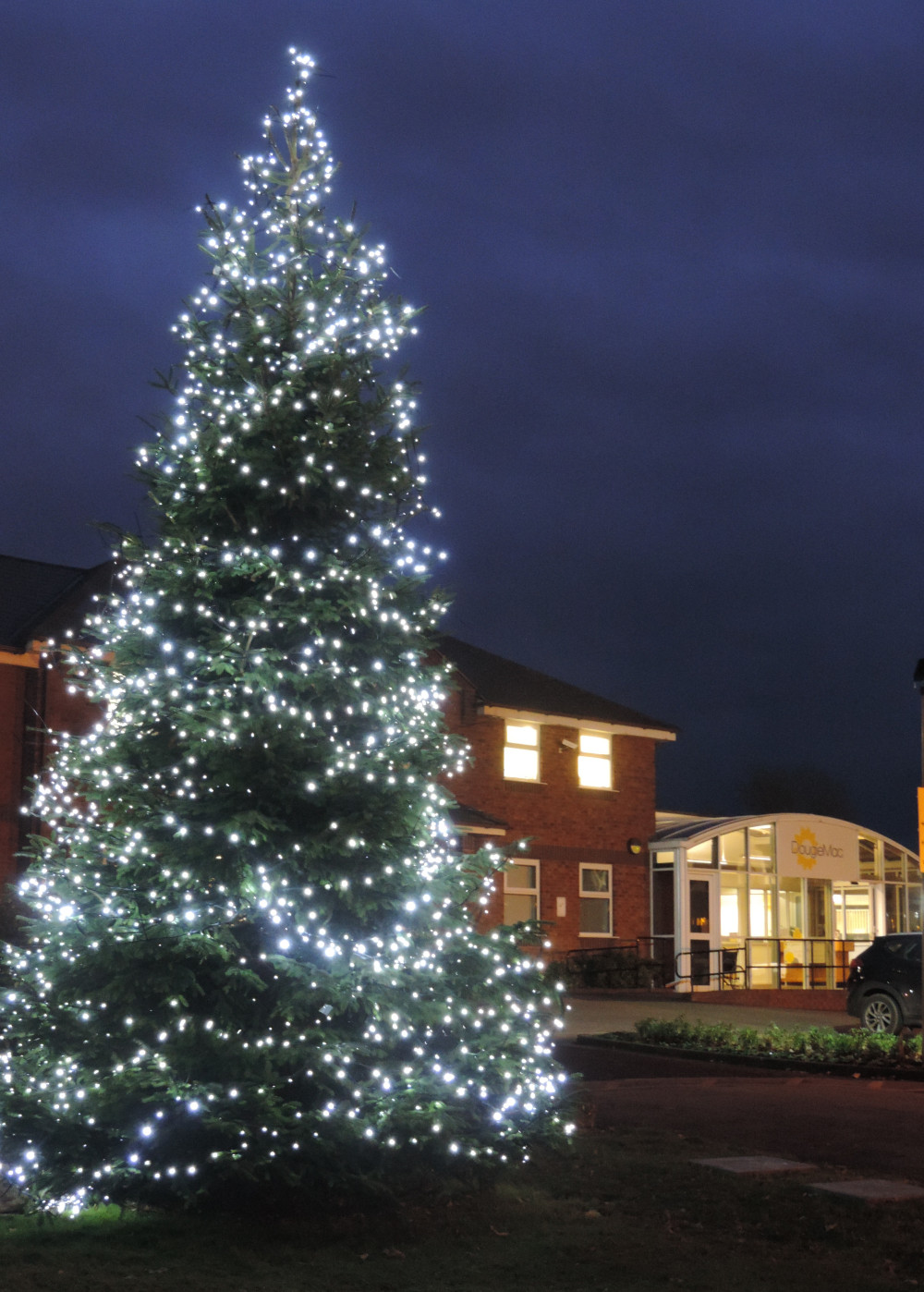 A Christmas Tree outside the Dougie Mac hospice (image via Dougie Mac)
