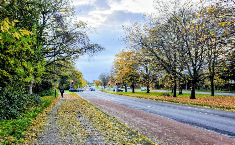 Crewe Nub News has you covered for new local jobs to apply for every week (Photo: Ryan Parker).