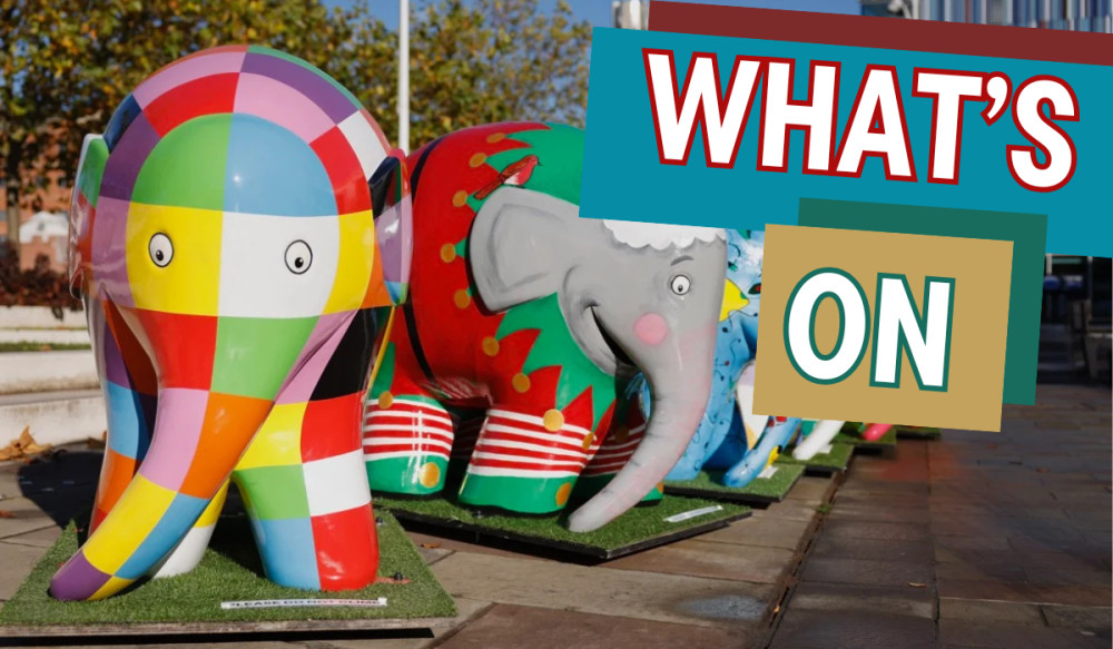 Elmer arrives in Macclesfield this weekend (Credit: David Oates Photography)