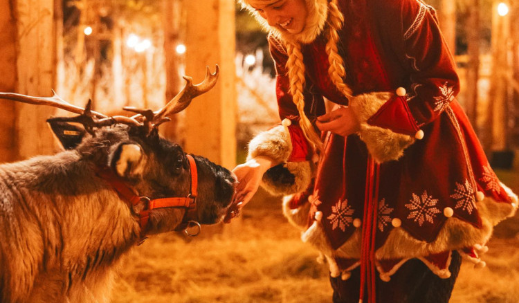 LaplandUK will stop using live reindeer as part of its immersive experience (Credit: LaplandUK)