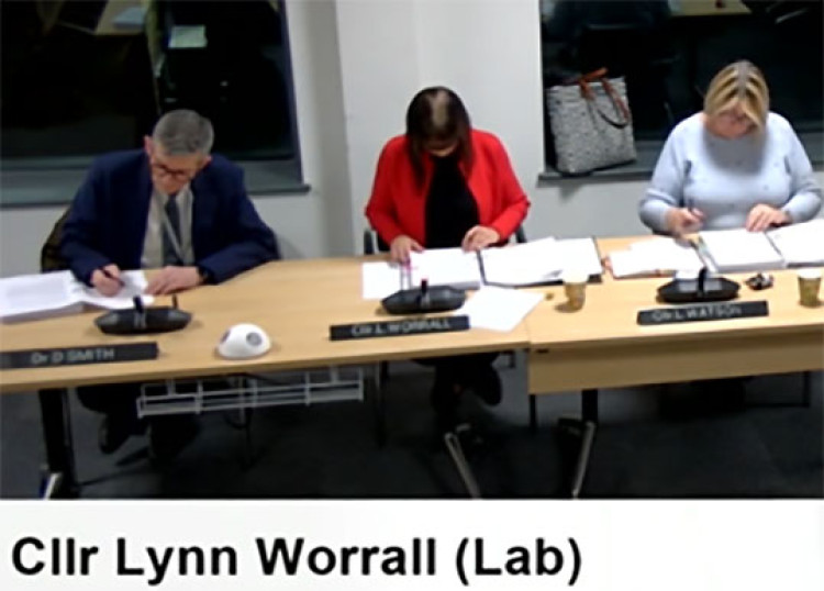 Cllr Lynn Worrall delivering her message to cabinet. 