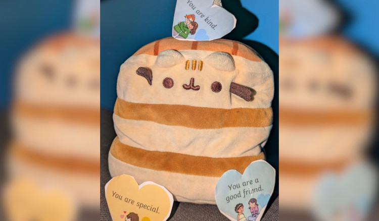 Panny the comfort toy was voted Eden School pupils' Kindness Hero (Credit: Eden School)