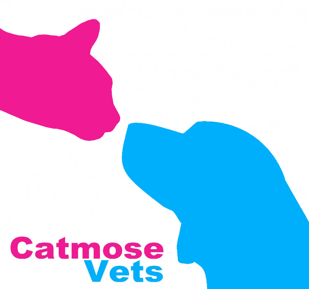 Catmose Vets