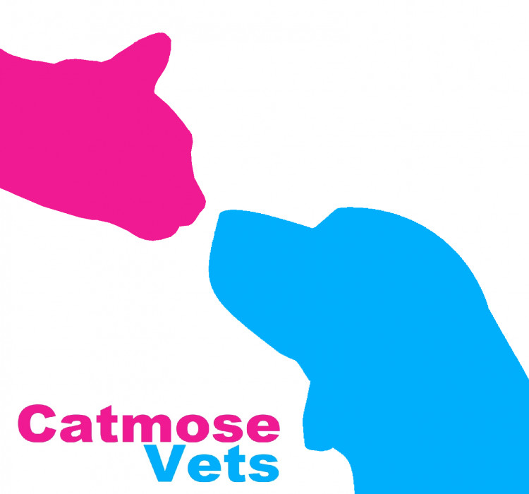 Catmose Vets