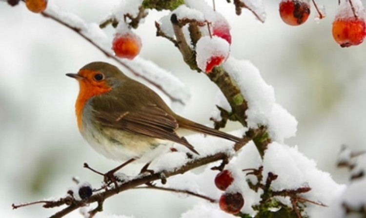 Rutland u3a monthly meeting